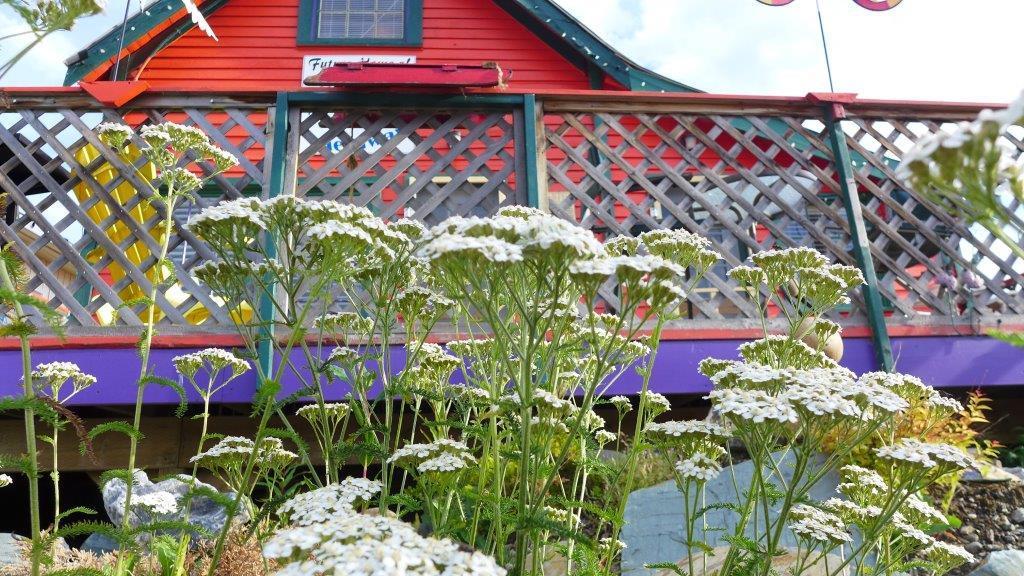 Mountain Thyme Getaway Hotell Barkerville Exteriör bild